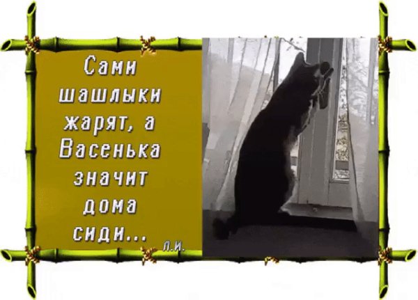 IMG 20221010 134330