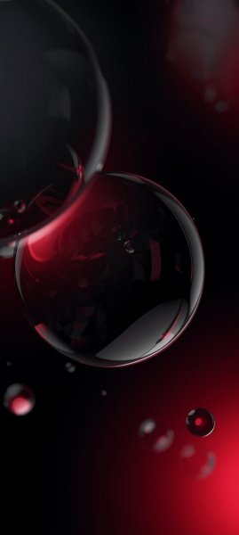 adapted 1080x2408 1773191581