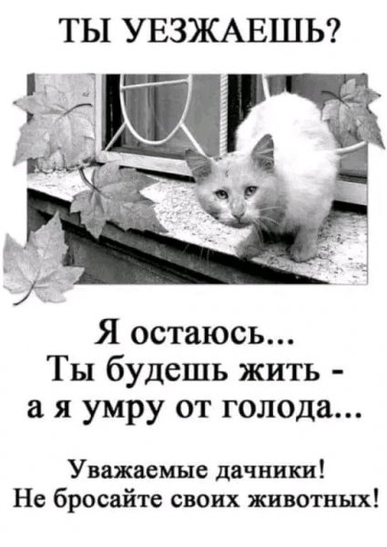 file_94714569