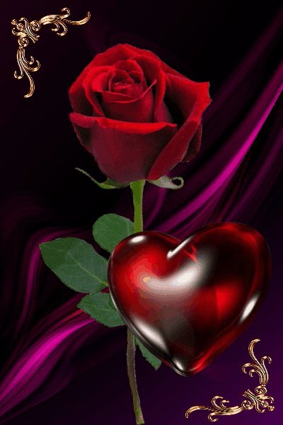 Роза Для тебя