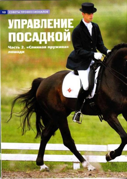 Avtor neizvesten Sovetyi professionalov
