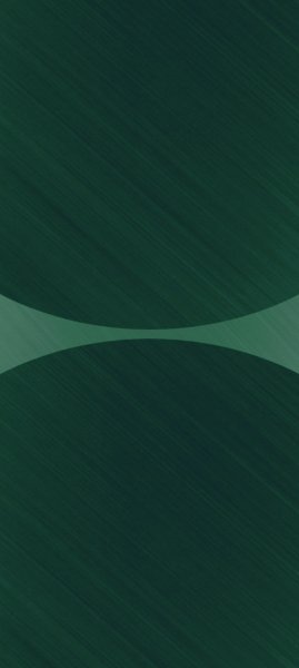 adapted 1080x2408 1760950852