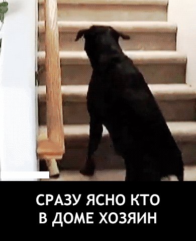 UID2719 1551961420 3