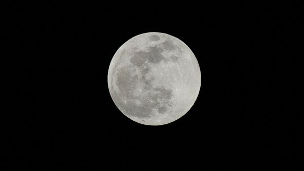 file_99357902