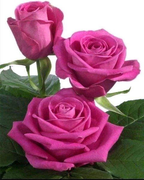 FB IMG 16322570097885862