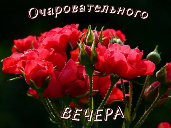 8cPTCFwaOao
