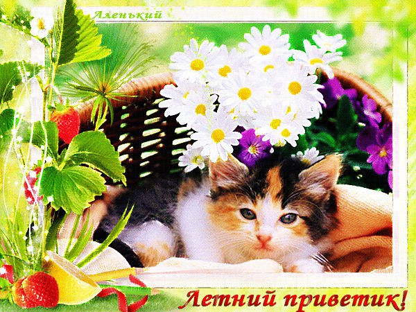 file_78104447