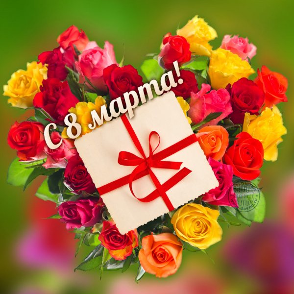 IMG 20190305 622805