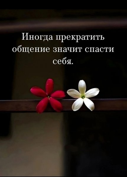 IMG 20251126 182041