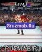 gruzmob.com WWESmackdownVsRAW08 240x320