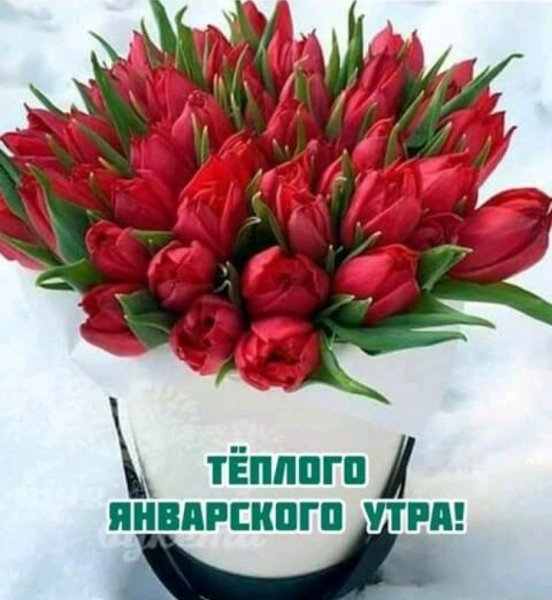 IMG 20200128 220052