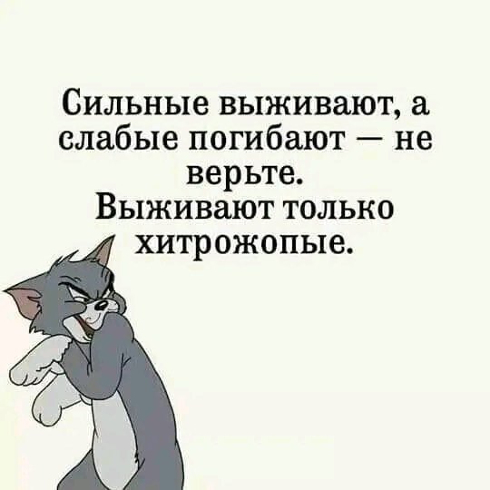file_96697307