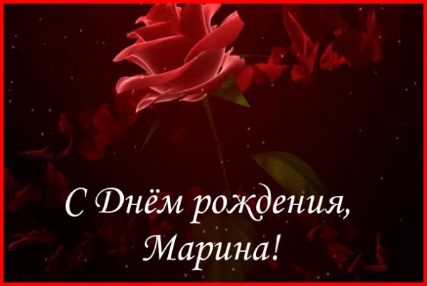 gif.5d89820d5f0c94169775ce73ac29d9c3