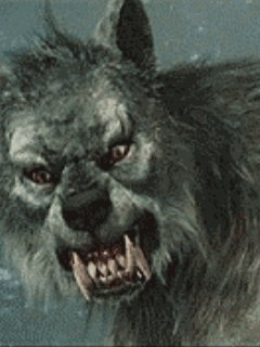 Boлk