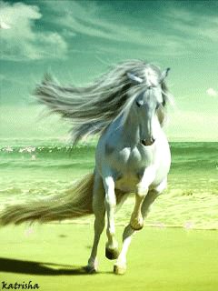 file_15755502