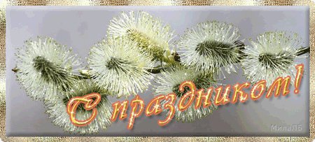 IMG 20230409 093812