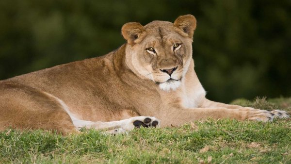 QqCaKFupmeYY7xys7yrb 12 b2f17ca8ba47406d4c2e8c9e9ef59414 avat