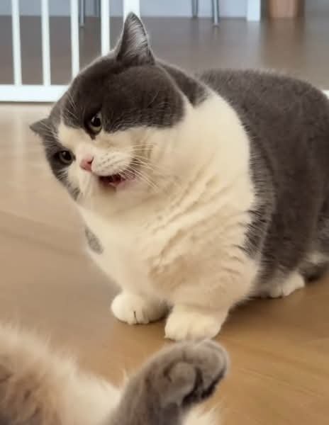 FB IMG 1771329583285