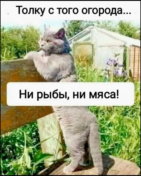 file_102556107