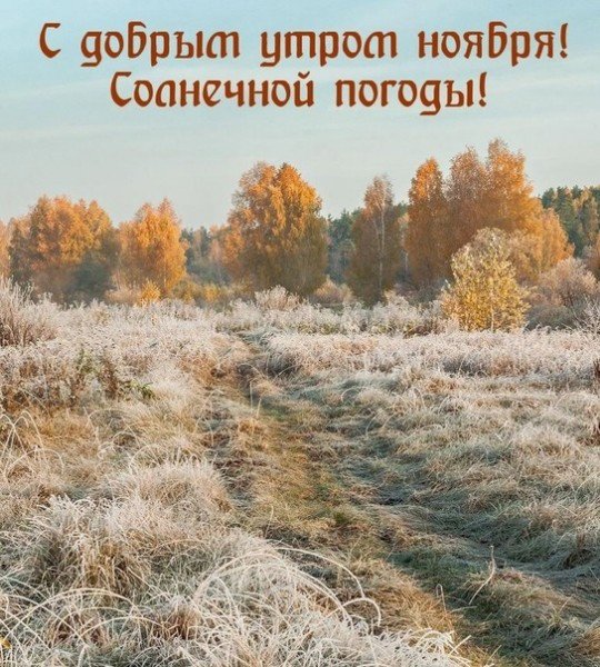 file_94942887