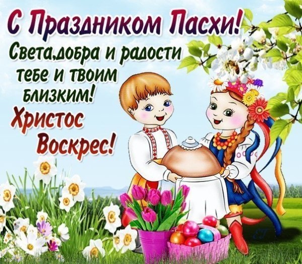 file_77399825