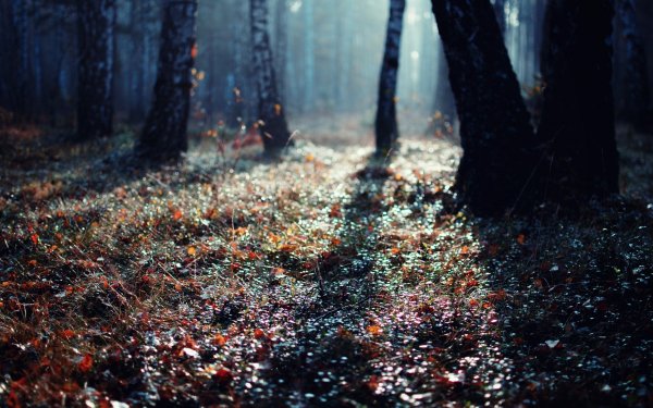 Super mix wallpapers 207 (0274)