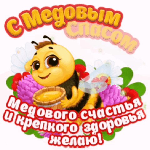 IMG 20210816 175723