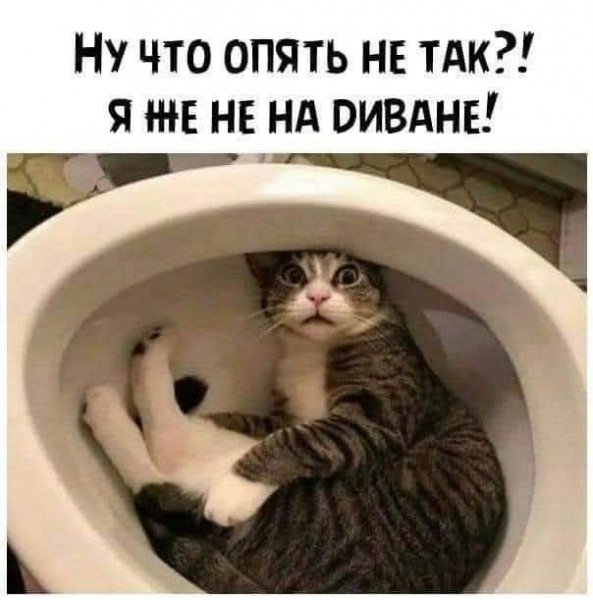 FB IMG 1777724967780