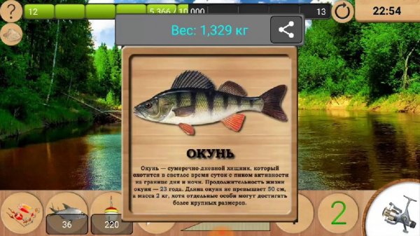 Реальная Рыбалка 1.14.3.666