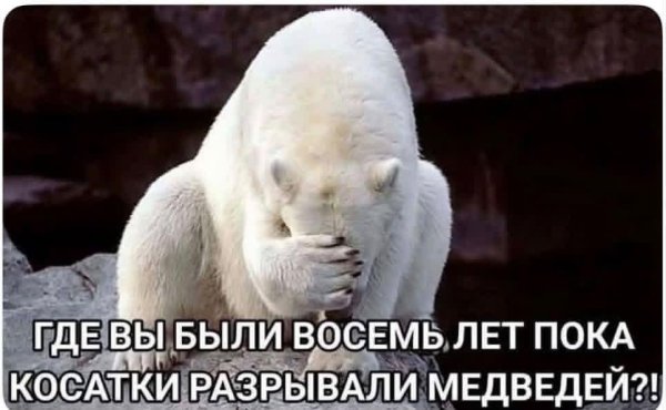 file_103357994