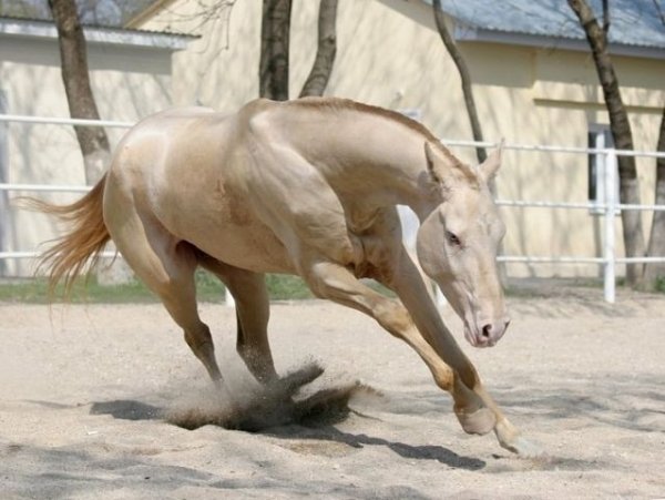 photo 1544530447