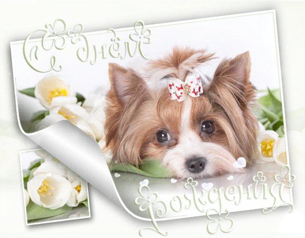 С Днём Рождения!