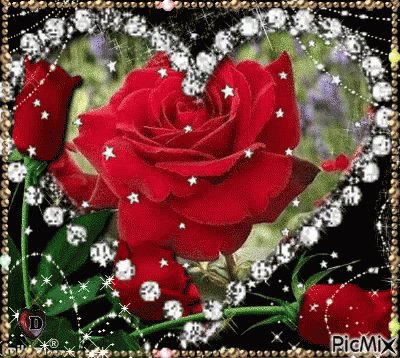 Flowers GIF - Flowers - Discover &amp; Share GIFs