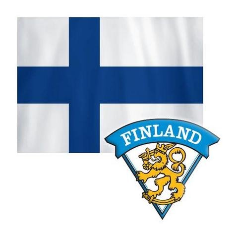 FINlogo resized