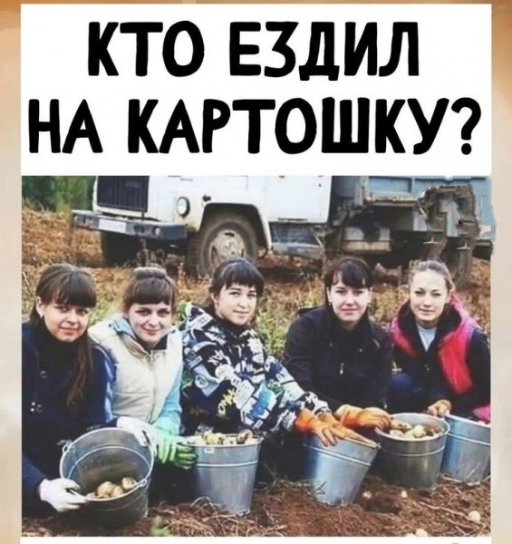Кто ездил на картошку