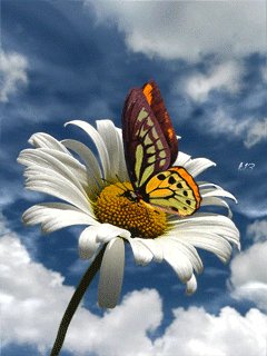file_49839028
