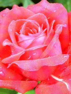 file_62663148