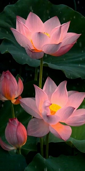 df3630574e40e74ac84468f42c67094e