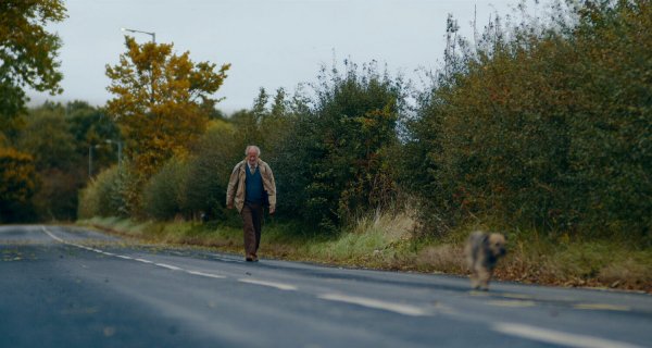 Вторая жизнь Гарольда Фрая (2023)