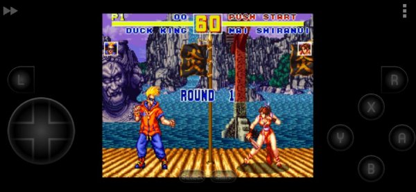 Fatal-Fury-Special