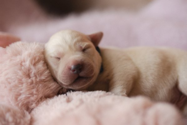 XOKMOKNUJBUHVYGVLQNM