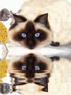 Кошка.527997