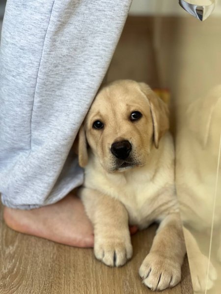 RDXFTGBJTFCHHFXUPG3Y