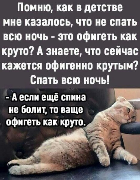 DsNHq1xMkCo