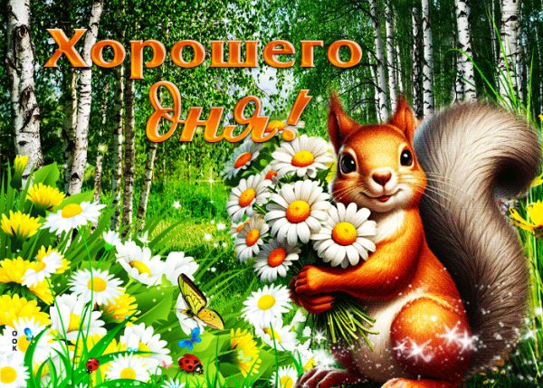 Хорошего дня