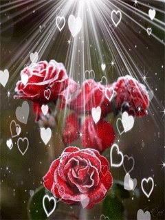 file_66402220