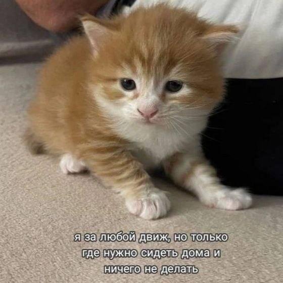 IMG 20260414 004653 338