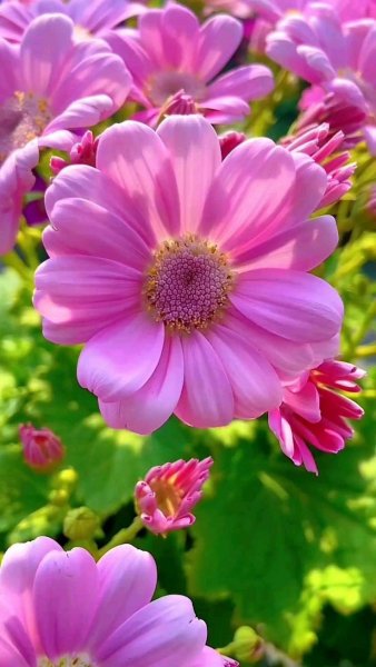 file_99347017