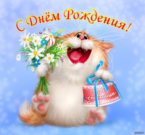 file_81288155