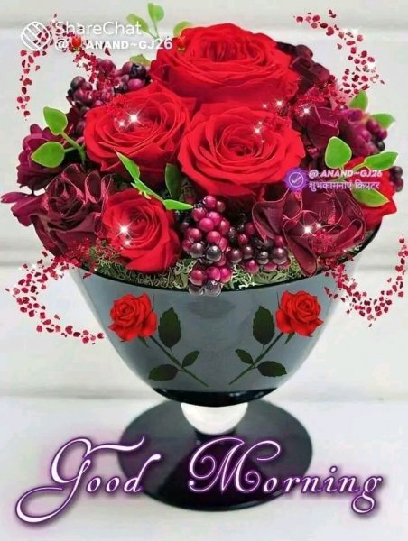 FB IMG 16752429182467120